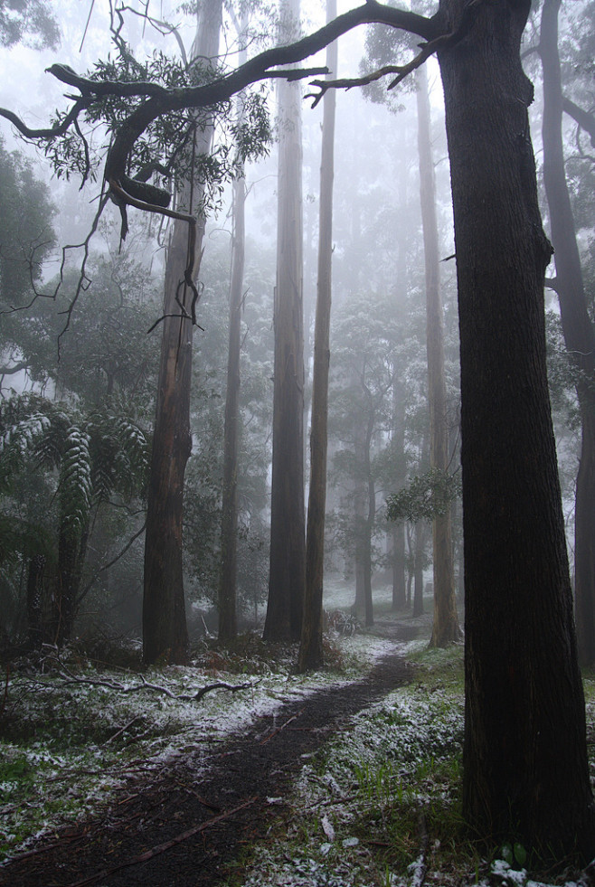 (9) Tumblr