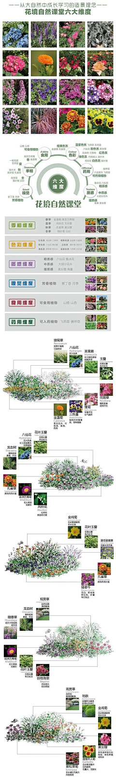 萍常心采集到景观花境