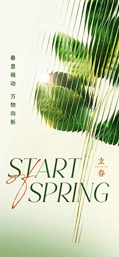 立春节气简约大气海报