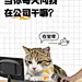 爆款吸睛大字表情包梗图小红书封面aigc