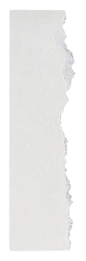b7c0ddb0c64dd4f33d7478bf38229fdd92aafb0b1a48f-zSlyYN_fw658webp_看图王(1)