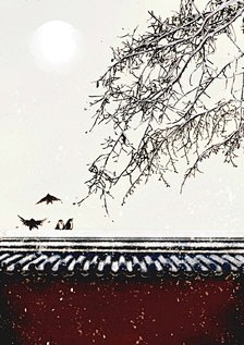 来自相册