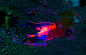 Abstracted Street Puddles Awash in Neon by Slava Semeniuta : Photographer and artist Slava Semeniuta, who goes by the name Local Preacher, recently noticed the glimmering reflective beauty of the streets of Sochi after an evening rain. As the artist tells