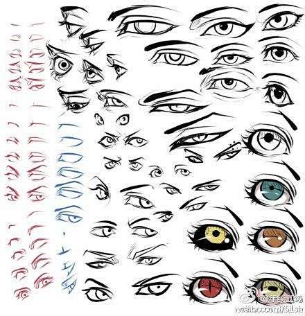 眼睛
