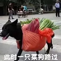 这条收集菜狗的表情包 ​​​​