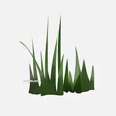 卡通手绘植物插画小草图片大小2000x2000px 图片尺寸589.27 KB 来自PNG搜索网 pngss.com 免费免扣png素材下载！草#插画设计#广告设计#海报设计#花#花草#卡通#手绘#树木#小草#