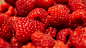 raspberries_berries_fruits_193811_1600x900.jpg (1600×900)