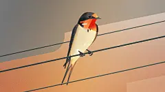 奇思妙想！9款的出版书本插画 - 优优教程网