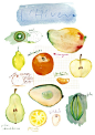 Watercolor food - Winter fruits poster - 11 X 14 Limited edition print No 6/50 - Food art - Kitchen illustration. $38.00, via Etsy.