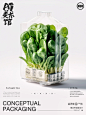 AI美术馆｜概念包装之温室里的蔬菜（附咒）
