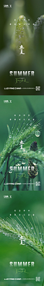 立夏节气地产海报-志设网-zs9.com