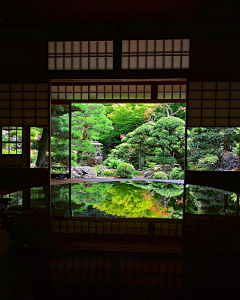 倪皓采集到窗外风景