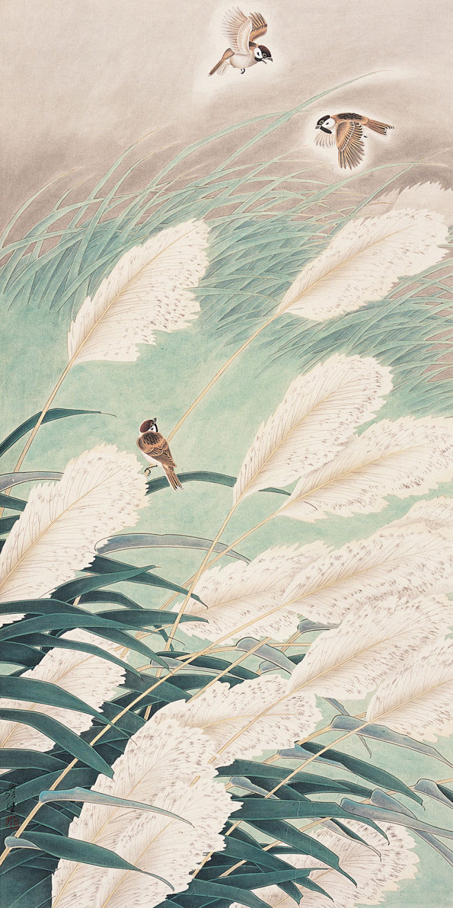 #芦苇 鸟#(800×1602)