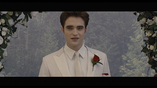 暮光之城爱德华edwardcullen罗伯特帕丁森robertpattinson