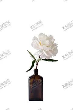 花瓶 【酷图网】花艺摆件,装饰品,工艺,文化艺术,瓷瓶,插画,新中式,中国风,古风,玄关装饰,室内摆件,精美装饰,精美摆件,单品元素,小物件,盆栽,花盆,瓷器