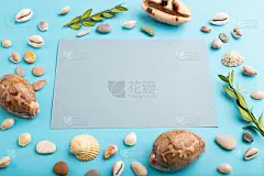用灰色的纸，贝壳，绿色黄杨木组成。模型上的蓝色粉彩背景。空白，侧视图，静物，拷贝空间。旅行的概念。
