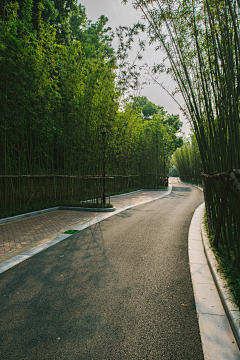 “逺汸”采集到道路空间