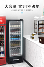 东贝展示柜保鲜柜立式啤酒柜商用冰箱单双门饮料柜冰柜超市冷藏柜-tmall.com天猫