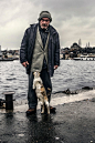 Stray Cats by Sami Uça: 