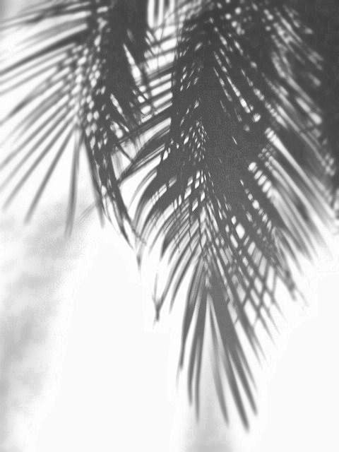 (11) Pinterest