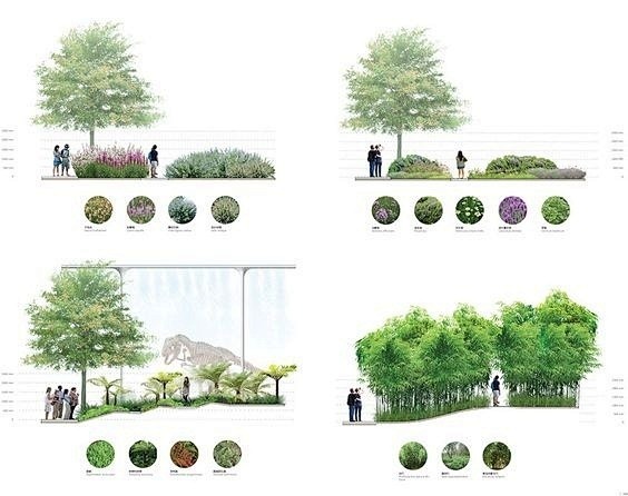 景观剖面图、植物配置分析