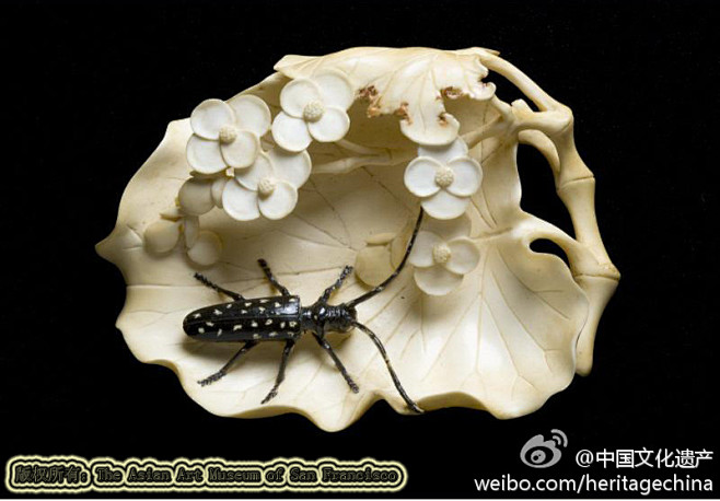 清海棠甲虫牙雕，L. 8.6 cm x ...