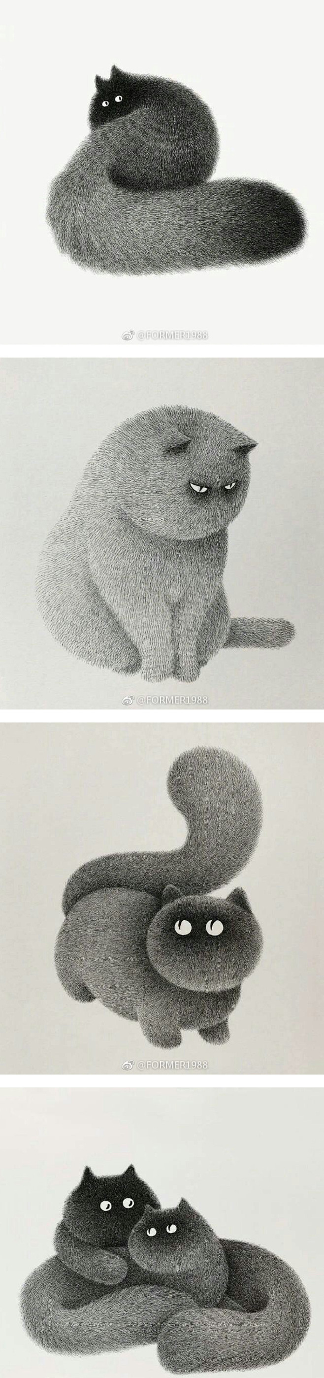 ​啥都能盘 | 猫盘 盘狗 盘猴 盘兔子...