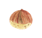 树叶 水彩坚果剪贴画 Paulaparaula Nuts Chestnut 24