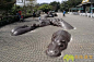 台北动物园的河马雕塑-休闲景观
