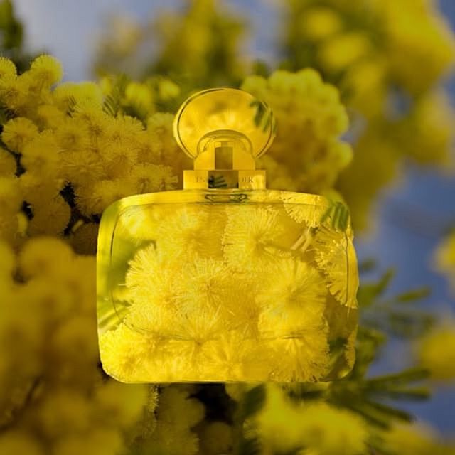 Estée Lauder (@estee...