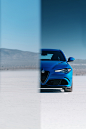 Alfa Romeo Family : 2019 Alfa Romeo Giulia, Giulia Quadrifoglio, Stelvio Quadrifoglio, 4C Italia. Photographed over two days in California for Alfa Romeo USA's social media channels. 