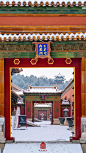 彤阶飞雪，青枝寒酥。
12月11日，北京迎来今冬初雪。

白雪镶红墙，碎碎坠琼芳。
在雪中，故宫安静得不动声色。
琉璃金顶玉尘层叠，
朱墙廊壁银星闪灼。
极目远望，丹宸碧瓦与雪相接，
与天一色。
