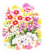 植物　花水彩画イラスト　コスモスとリンドウ、タマスダレ、野菊など秋のブーケ花束水彩画イラスト