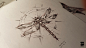 dragonfly, psdelux ... : dragonfly by psdelux ... on ArtStation.