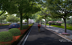 花落花开928采集到道路 绿化 景观
