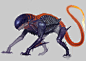 Xeno