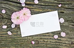 粉红色的花朵