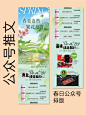 迷路的燕麦粥 • 小红书 / RED