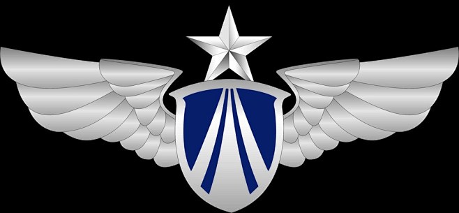 空军胸标矢量图图片