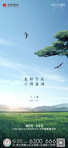 默小军采集到美好项目