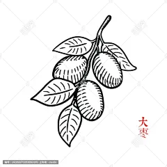 大枣