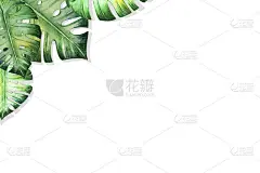 美丽的热带树叶框架。蓬莱蕉,手掌。水彩画。