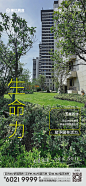 1117实景系列稿_画板 1 副本 3