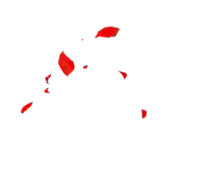 多利卡采集到插画png