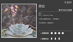 【一人一世界】采集到多肉植物标签