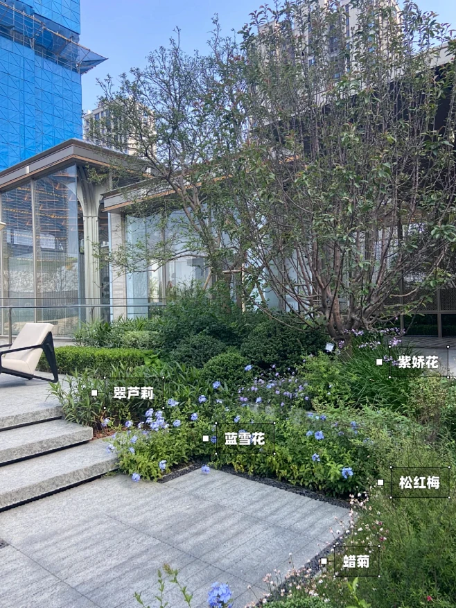 植物踩盘——杭州绿城·锦海棠 - 小红书-花瓣网