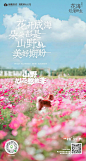 拾野川-山野心花怒放季