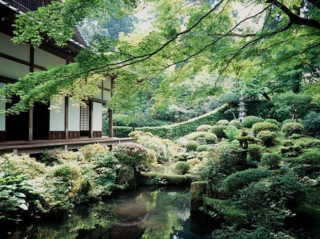 夏日里的日本三千院。日系庭院深受禅宗和中...