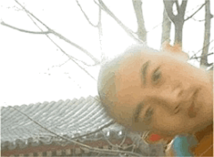 萝蒂丝◕ิิ◕ิิ采集到表情