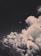 Hipo macono on Behance